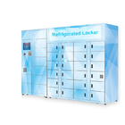 Cold Food Delivery Refrigerated Electronic Locker With Remote Control 240V