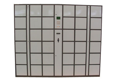 CE 36 μεγάλα ντουλάπια αποσκευών χάλυβα μεγέθους πορτών, ηλεκτρονικό παράθυρο ντουλαπιών γραφείων κωδικού πρόσβασης με την οθόνη LCD