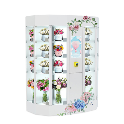 22 κατάλληλο γραφείο χάλυβα μηχανών ντουλαπιών πώλησης λουλουδιών ίντσας