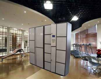 Δημόσιο ντουλάπι ντουλαπιών αποθήκευσης αποσκευών γραμμωτών κωδίκων RFID για τους φιλοξενουμένους ξενοδοχείων με την ηλεκτρονική κλειδαριά